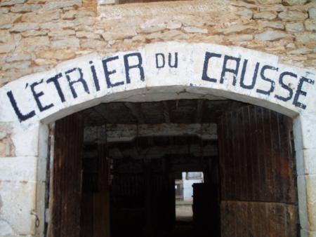 mon club d'équitation